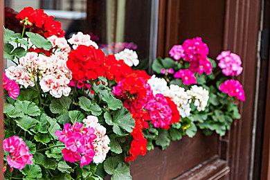 《漫威蜘蛛侠2》头21分钟演示 大战首个Boss沙人